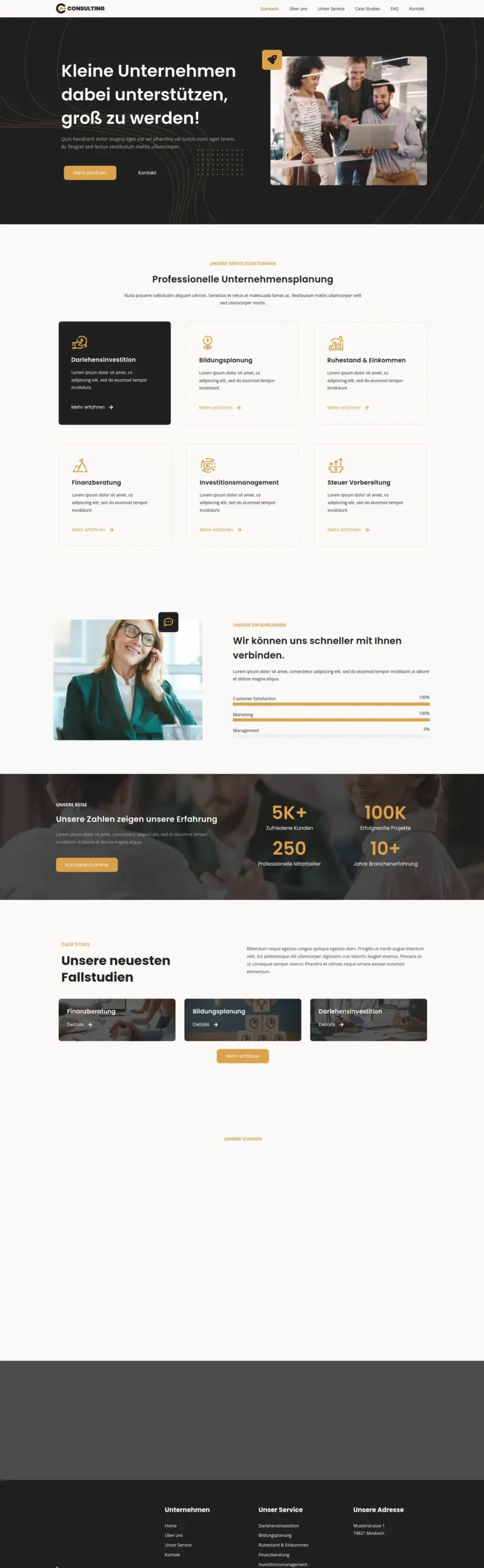Consulting Musterwebsite Screnshot 1