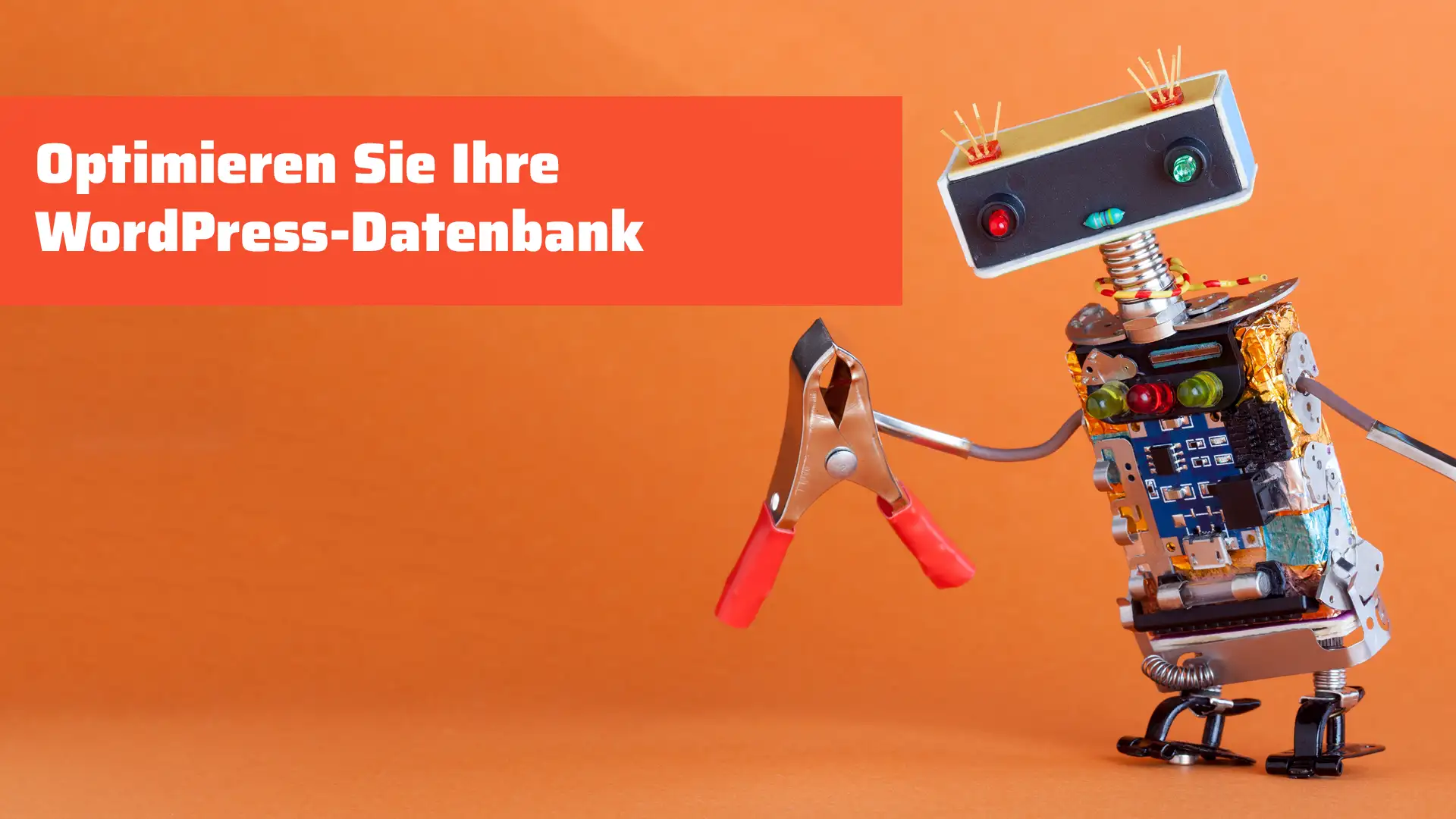 Optimieren Sie Ihre WordPress-Datenbank
