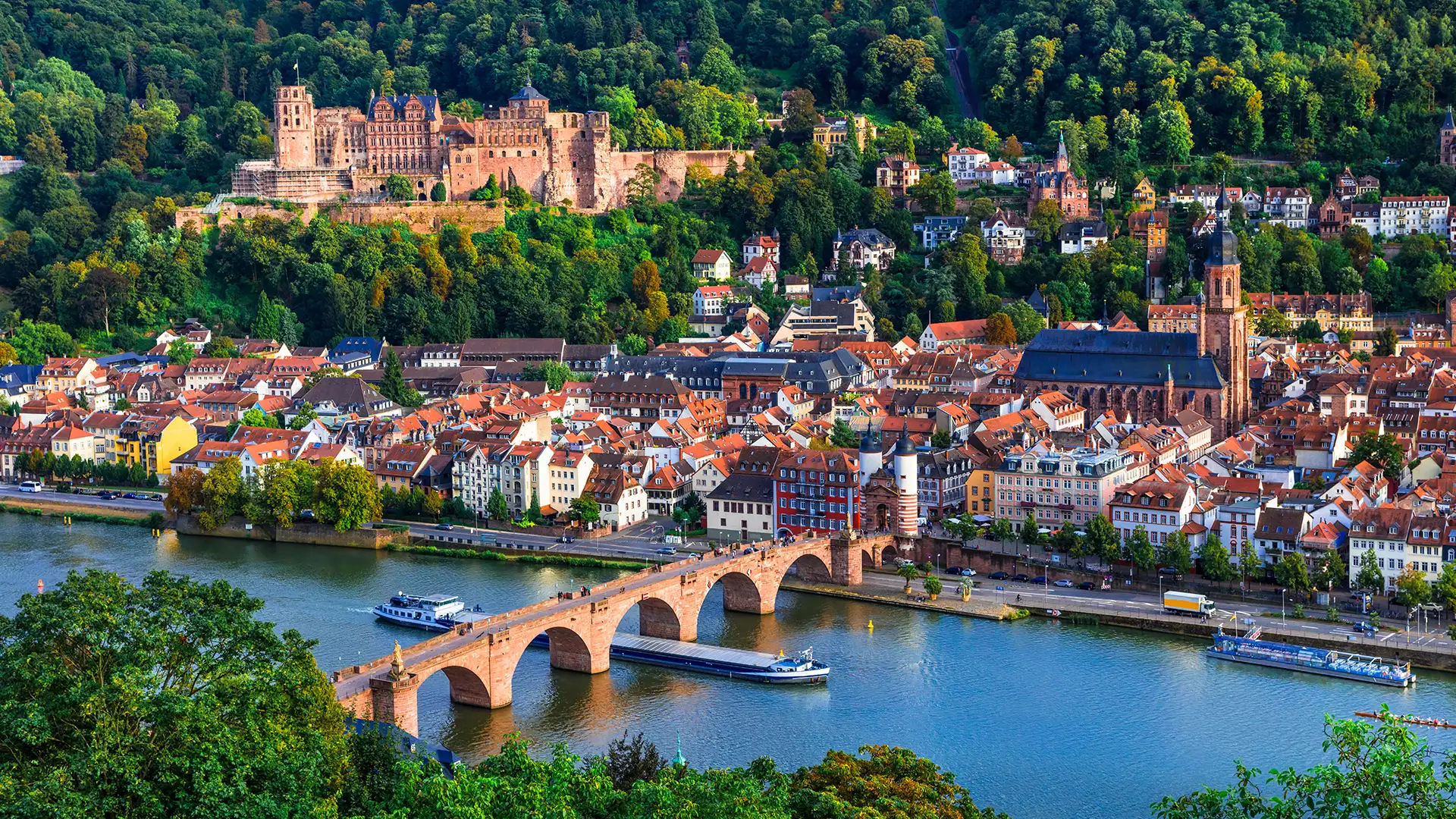 WordPress Heidelberg